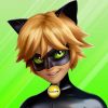 Miraculous Ladybug & Cat Noir Download